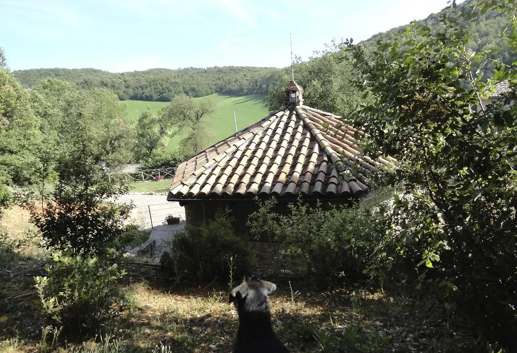 Agriturismo I Sassi Grossi-1